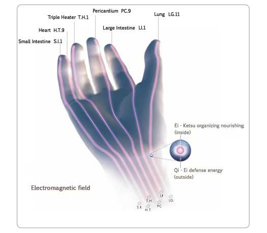Electro-magnetic-field_hand_&_meridians